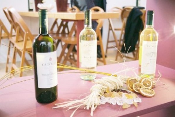 Studenţii chinezi vor învăţa la Craiova